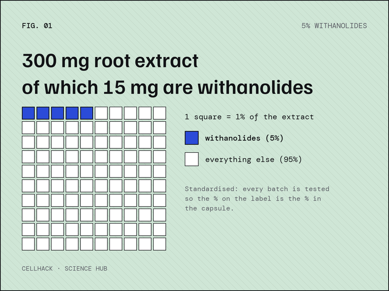 Chart: 5% of a 300 mg ashwagandha root extract is withanolides, 15 mg