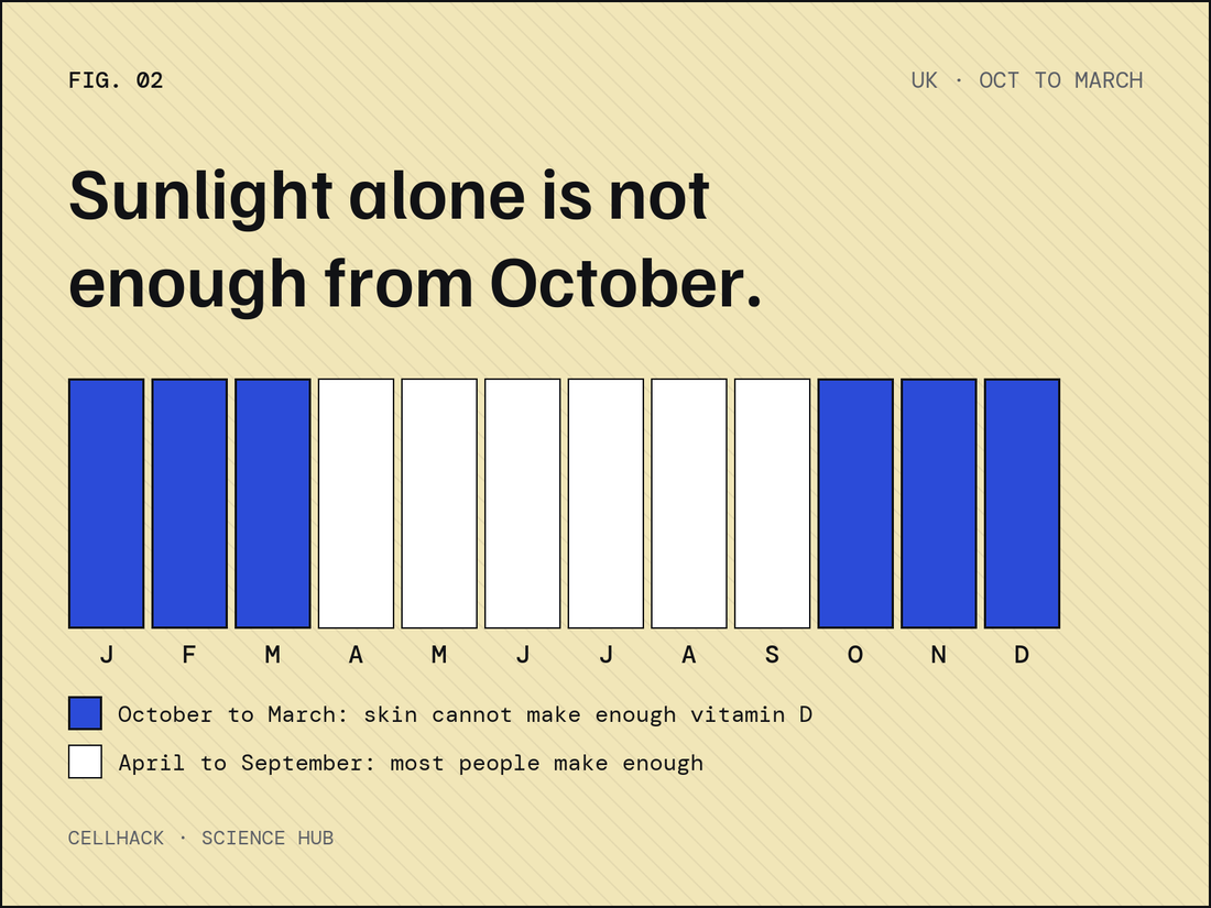 Chart of the months in the UK, October to March, when sunlight is not enough for vitamin D
