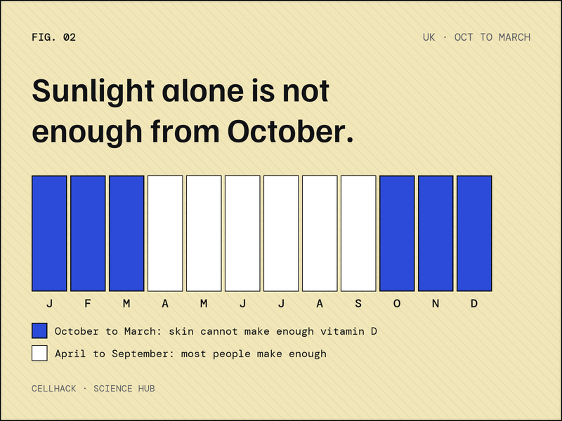 Chart of the months in the UK, October to March, when sunlight is not enough for vitamin D