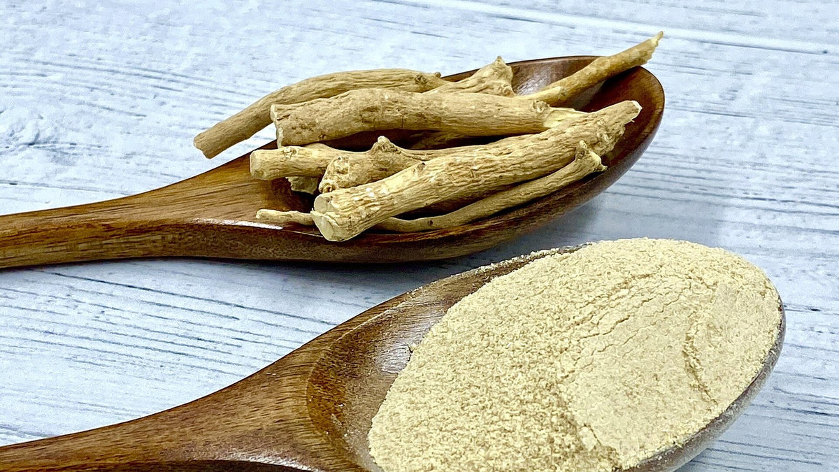 Dried ashwagandha root and ashwagandha root powder on wooden spoons